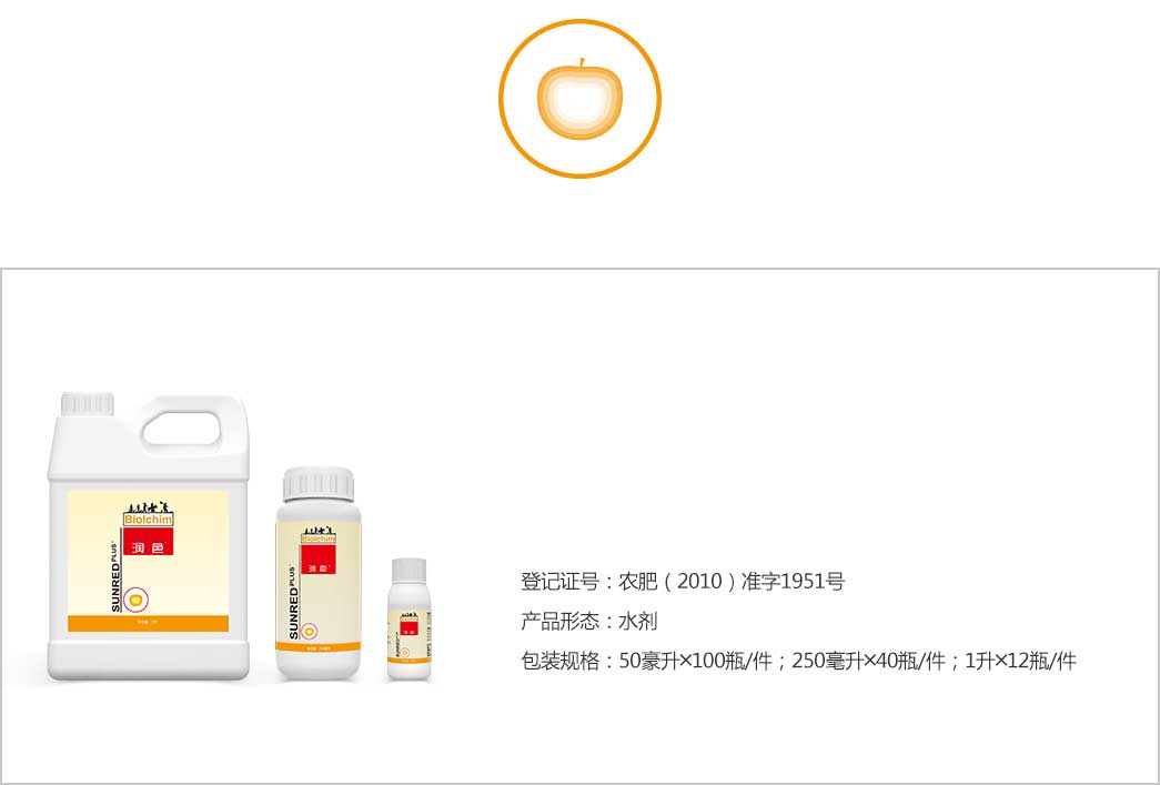 润色