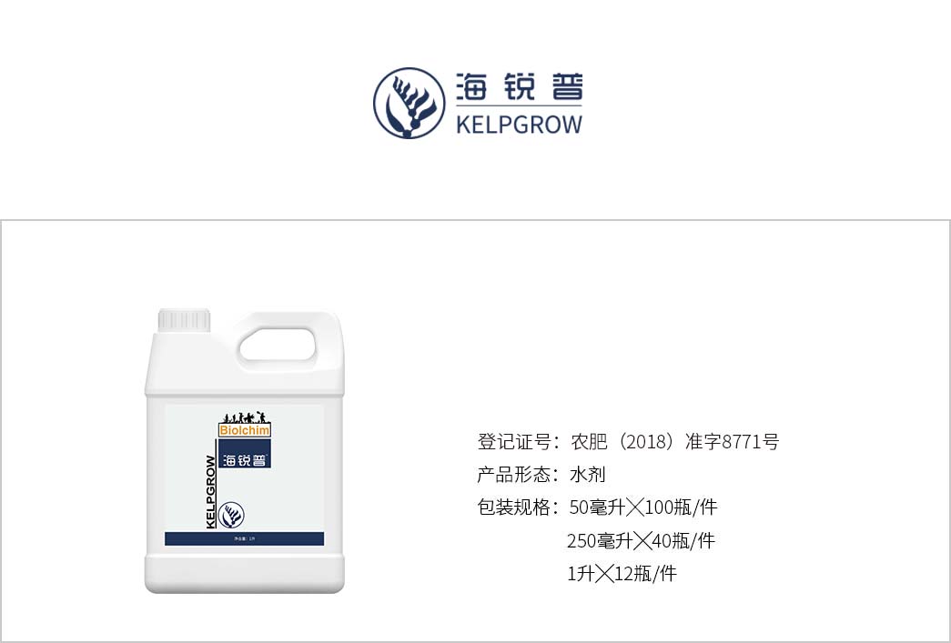 海锐普