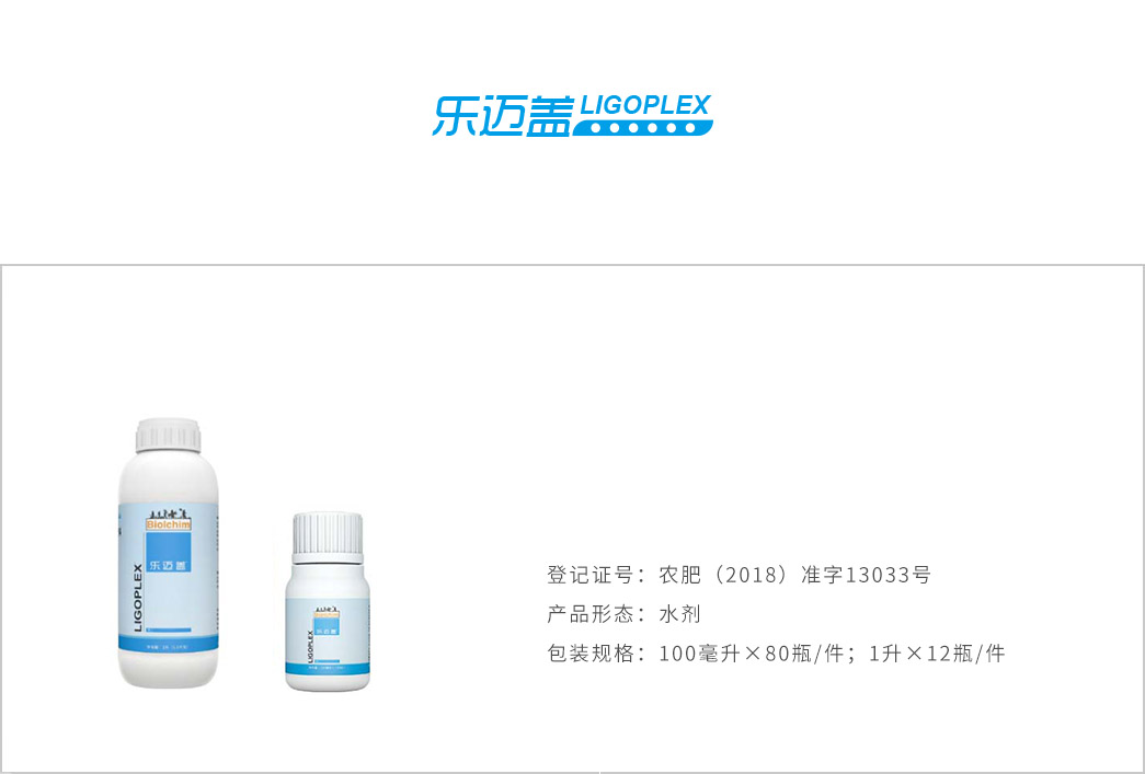 乐迈盖