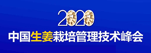 比奥齐姆赞助 “2020中国生姜栽培管理技术峰会”