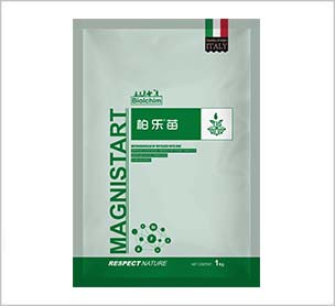 柏乐苗