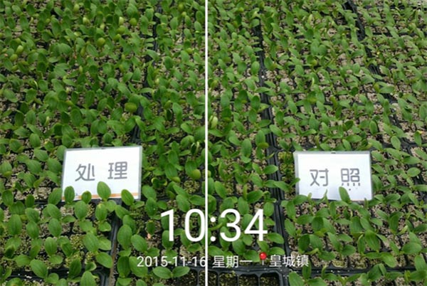 屏幕快照 2016-06-08 下午3.53.23.jpg