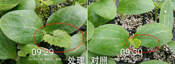 屏幕快照 2016-06-08 下午3.53.23.jpg
