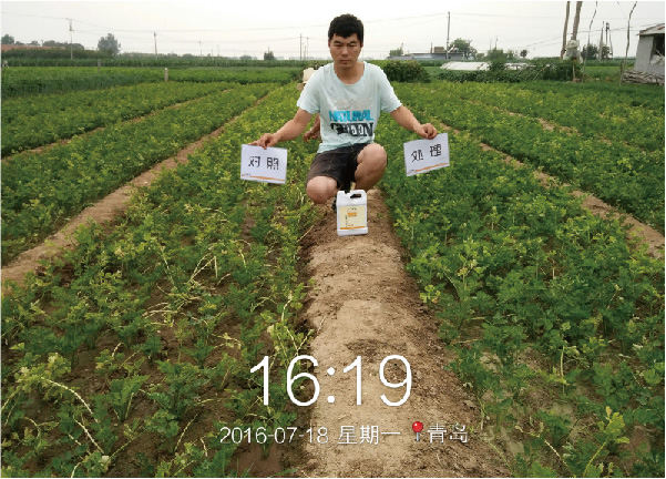 未标题-1-05.jpg
