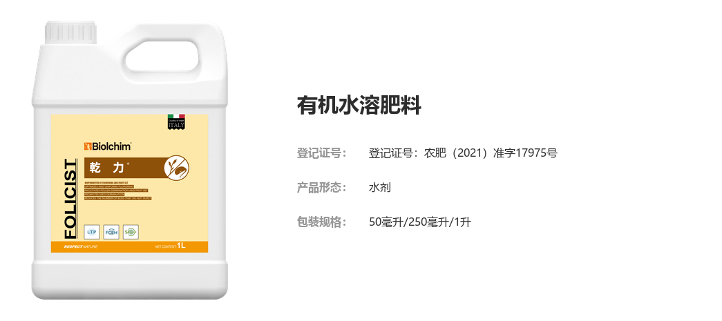 乾力