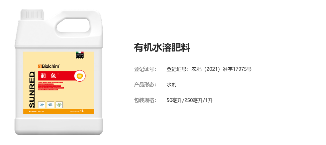 润色