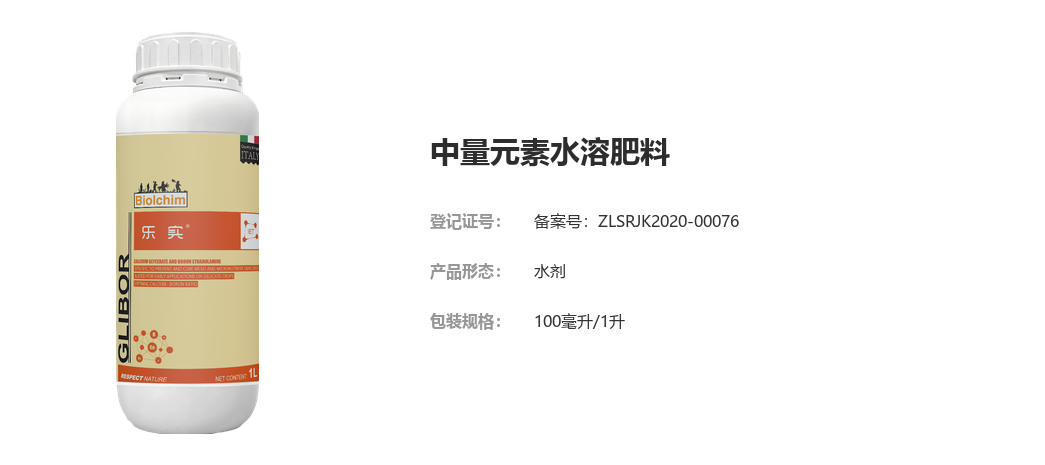 乐实